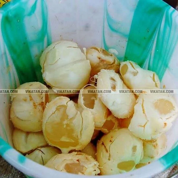 வெப்பம் தணிக்கும், உடல் உபாதைகளைப் போக்கும் இளநீர், நுங்கு!