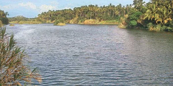 அடுத்த தலைமுறையும் இப்படி அலைய வேண்டுமா? தண்ணீரைச் சேமிக்கவேண்டிய நேரம் இது! #WhereIsMyWater