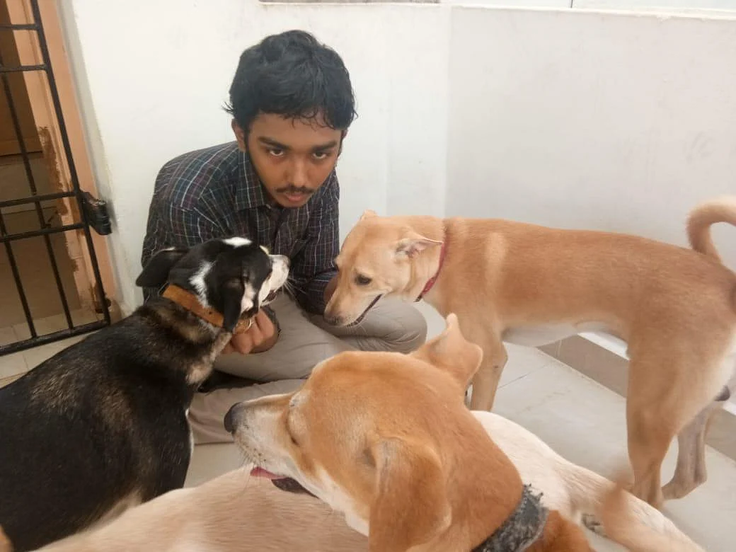 `சாலையில் இழுத்துச் சென்றார்; கால்வாயில் மூழ்கடித்தார்!' - ஒல்லிகுமாரால் நாய்க்கு நடந்த கொடூரம்