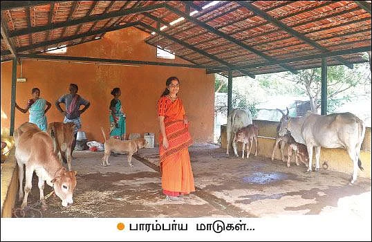 Low expenditure, fulfilled profit... Farm flourishing based on the principles of Nammalvar!