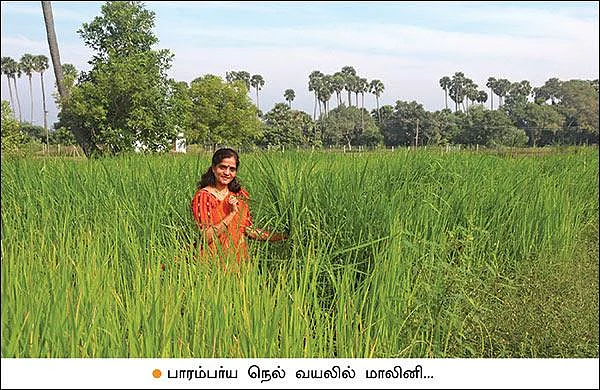 Low expenditure, fulfilled profit... Farm flourishing based on the principles of Nammalvar!