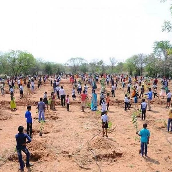 1000 மாணவர்கள்... 500 மரக்கன்றுகள்! - கரூர் பள்ளி நிர்வாகத்தின் அசத்தல் 'அடர்வன' முயற்சி