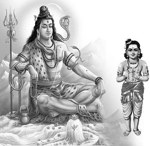 திருஞானசம்பந்தர் திருக்கல்யாண வைபவம், ஜோதியில் கலந்த திருநாள் ... ஆச்சாள்புரத்தில் இன்று இரவு குருபூஜை!