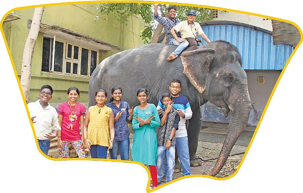 பார்த்தால் மலை... பழகினால் மழலை!
