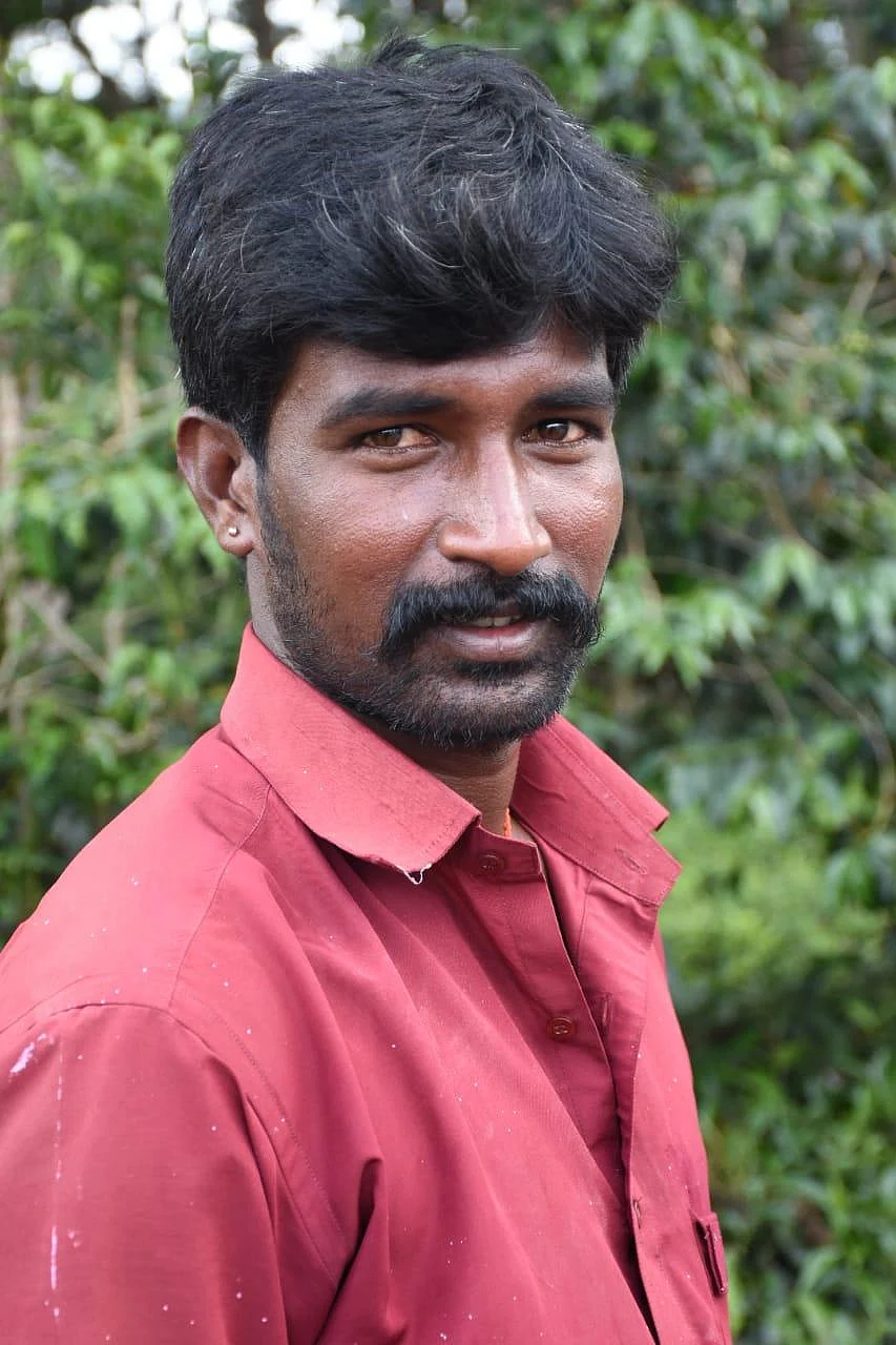 விஷம் வைத்துக் கொன்ற மனிதர்கள்; இறந்தும் குட்டிகளைக் காப்பாற்றிய குரங்குகள்... நீலகிரி சோகம்!