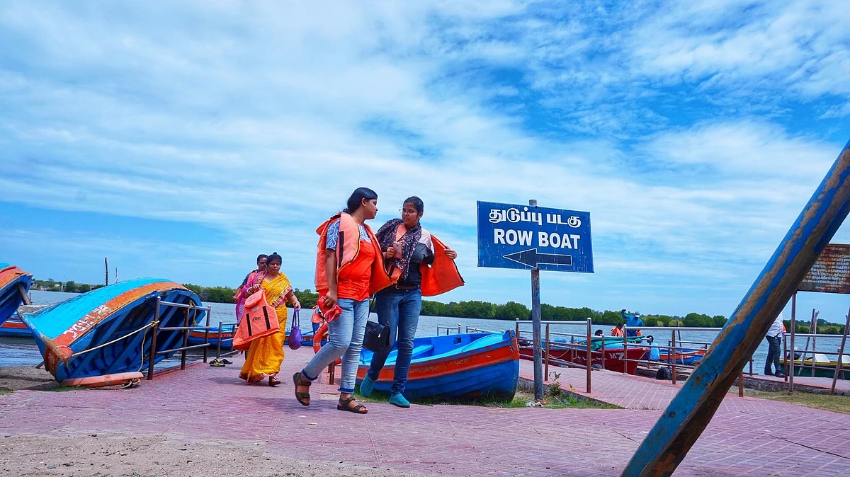 `அலையாத்திக் காடுகளின் ஊடே நீண்ட நேரம் படகு சவாரி செய்யணுமா?' பிச்சாவரம் வாங்க #MyVikatan