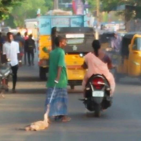 `சாலையில் இழுத்துச் சென்றார்; கால்வாயில் மூழ்கடித்தார்!' - ஒல்லிகுமாரால் நாய்க்கு நடந்த கொடூரம்