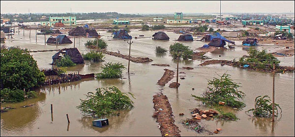 மறக்க முடியாத கஜா புயல்!