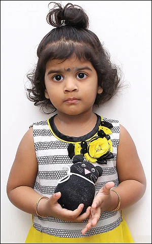 சாக்ஸ் பூனை