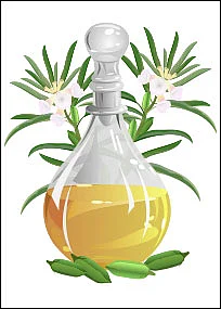 எண்ணெயில் என்ன இருக்கு?