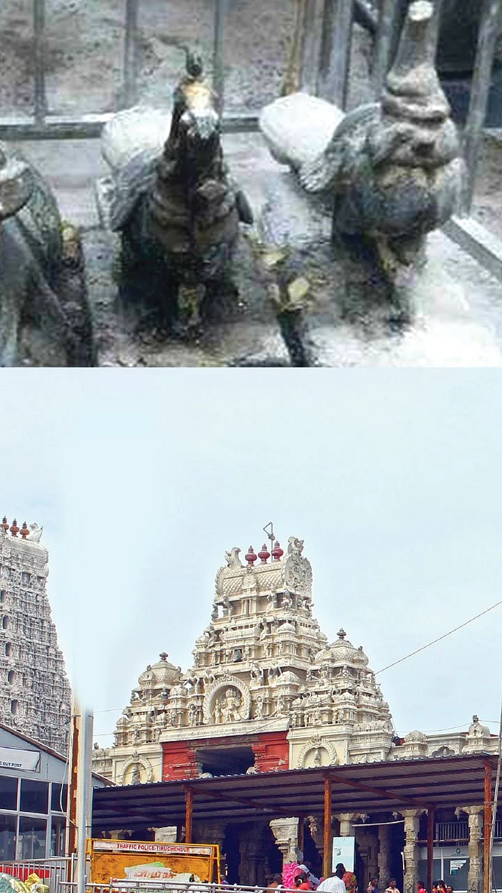 முருகனின் வாகனத்துக்கு வந்த சோதனை! - சந்திக்குவரும் திருச்செந்தூர் கோயில் விவகாரம்