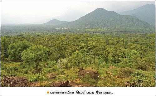 Mango, Lemon, Papaya, Jack, Coconut...Encouraging Income of ₹ 38,00,000 annually as intercrops!