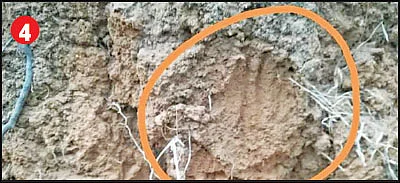 என்ன இது?
