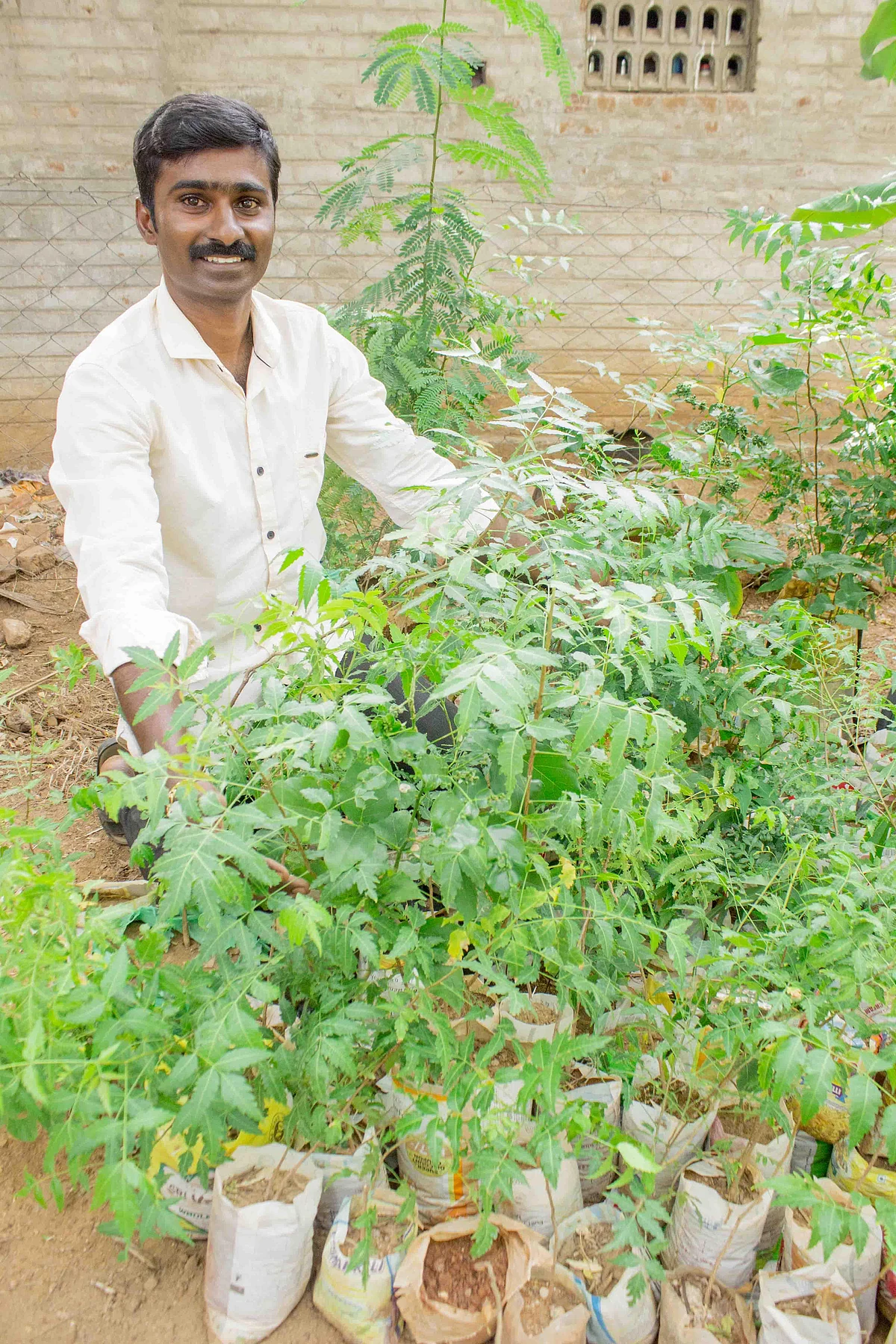மரங்களை காதலிக்கும் அரசுப் பள்ளி ஆசிரியர்... சோலைவனமான தஞ்சாவூர் கிராமம்! #MyVikatan