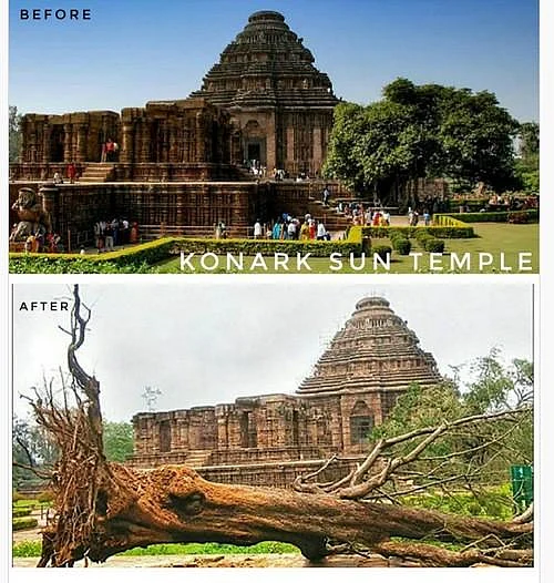 ஃபானி புயலால் லட்சக்கணக்கான மரங்கள் அழிவு! - இப்போது எப்படி இருக்கிறது பூரி?