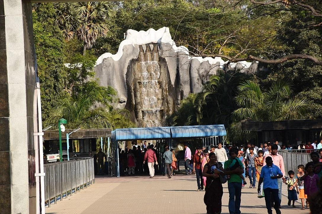 ``சம்மரை இப்படித்தான் சமாளிக்கிறோம்... மிருகங்களும் ஹேப்பி!'' - வண்டலூர் துணை இயக்குநர்