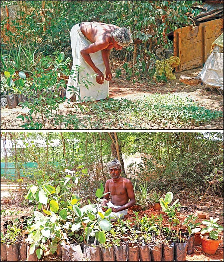 புண்ணிய புருஷர்கள் - 5