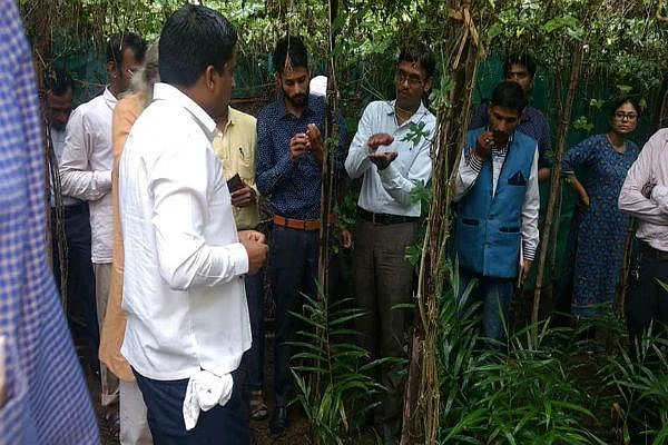 2.5 ஏக்கரில் 12 லட்சம் வருமானம்... 'அடுக்கு விவசாயத்தில்' அசத்தும் இளைஞர்!