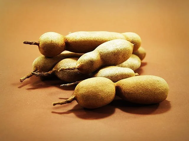 Spice Box Container – Tamarind – the Spiker!