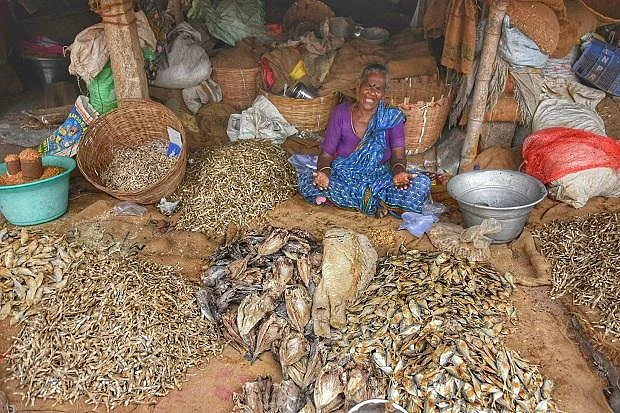 தமிழகம் கண்ட முதல் பிரமாண்ட கருவாட்டுச் சந்தை - இது மயிலாடுதுறை மண்ணின் அடையாளம்! #MyVikatan