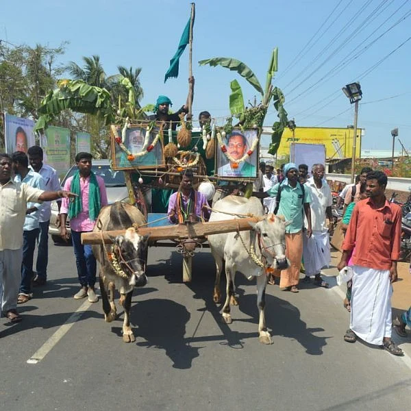திருத்துறைப்பூண்டியில் களைகட்டிய 13-வது தேசிய நெல் திருவிழா