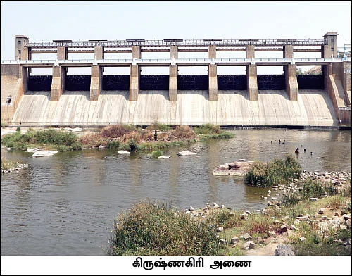 தென்பெண்ணையை அபகரித்த கர்நாடகம்! - செயற்கை வறட்சியால் கலங்கும் தமிழக விவசாயிகள்!