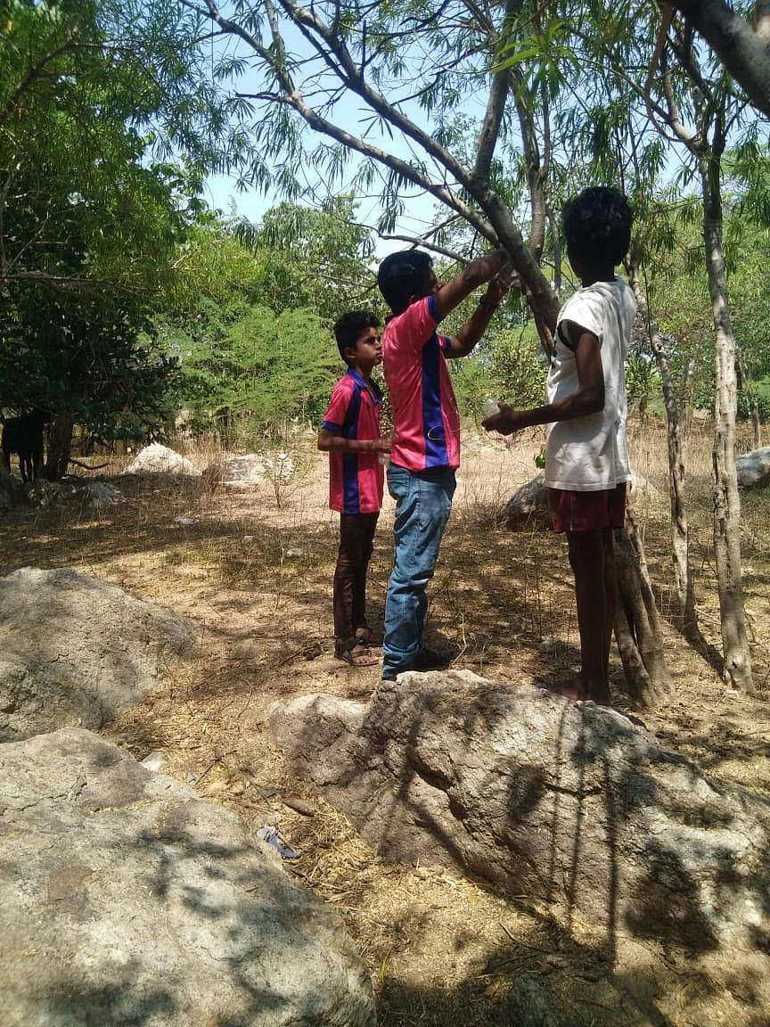 கிளைகளுக்கிடையே வாட்டர் கேன்கள்; பறவைகளுக்குத் தண்ணீர்... இளைஞர்களின் வித்தியாச முயற்சி!