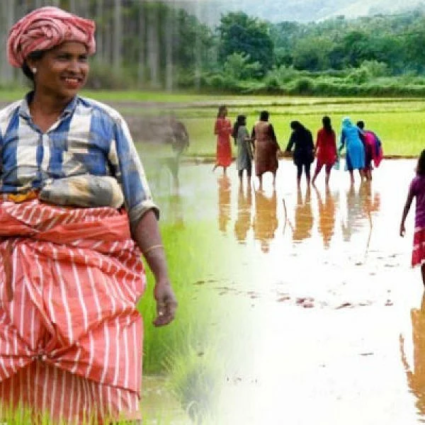 `இது தரமான சம்பவத்துக்குக் கிடைத்த சர்வதேச விருது' - இந்தியாவிற்குப் பெருமை சேர்த்த கேரளா!