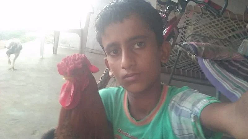 ``படிப்பு அறிவுக்கு... கோழி ஆசைக்கு!'' - கோழி வளர்ப்பில் அசத்தும் ஒன்பதாம் வகுப்பு வெங்கடாஜலபதி