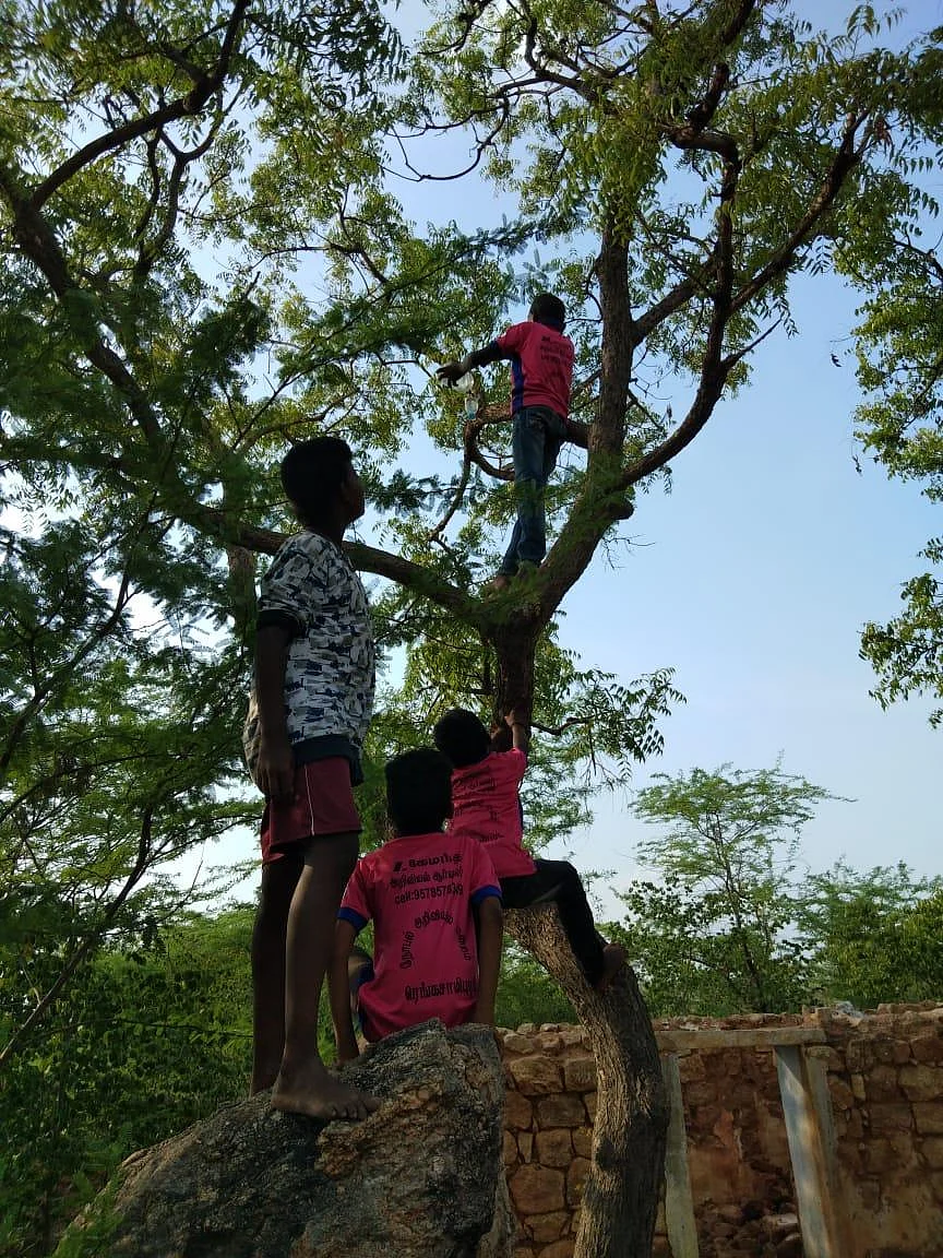 கிளைகளுக்கிடையே வாட்டர் கேன்கள்; பறவைகளுக்குத் தண்ணீர்... இளைஞர்களின் வித்தியாச முயற்சி!