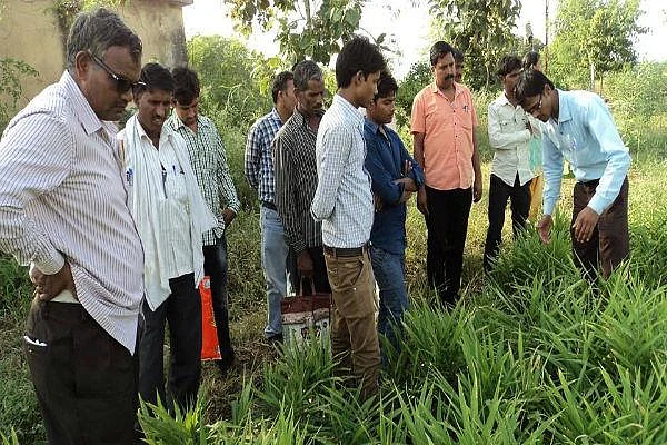 2.5 ஏக்கரில் 12 லட்சம் வருமானம்... 'அடுக்கு விவசாயத்தில்' அசத்தும் இளைஞர்!