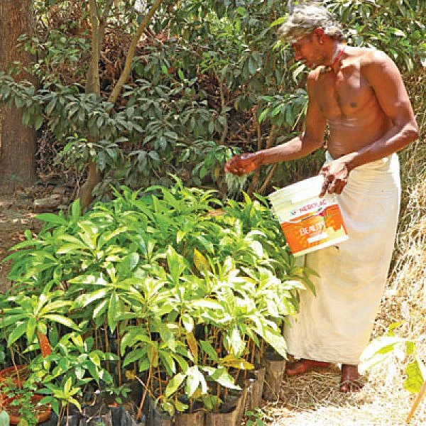 புண்ணிய புருஷர்கள் - 5