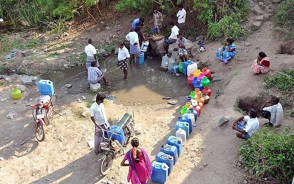 குடிக்கத் தண்ணீர் இல்லை... ஹீட் ஸ்ட்ரோக்கால் உயிரிழந்த குரங்குகள்!