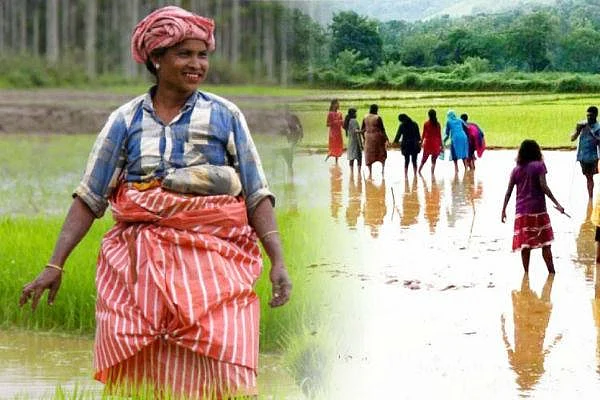 `இது தரமான சம்பவத்துக்குக் கிடைத்த சர்வதேச விருது' - இந்தியாவிற்குப் பெருமை சேர்த்த கேரளா!