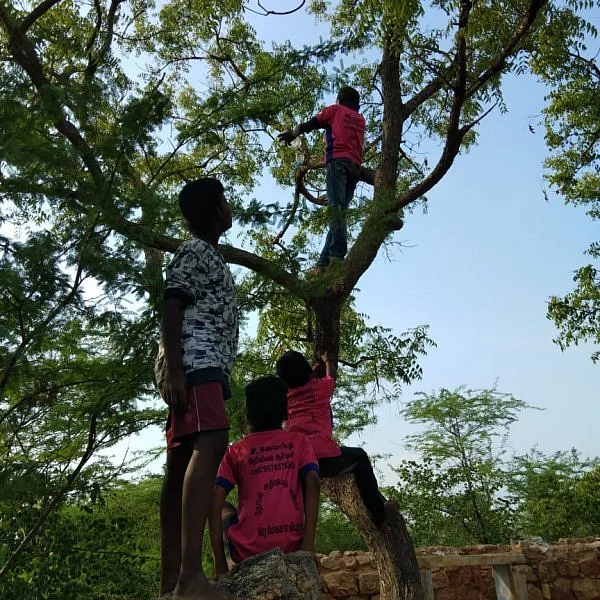 கிளைகளுக்கிடையே வாட்டர் கேன்கள்; பறவைகளுக்குத் தண்ணீர்... இளைஞர்களின் வித்தியாச முயற்சி!