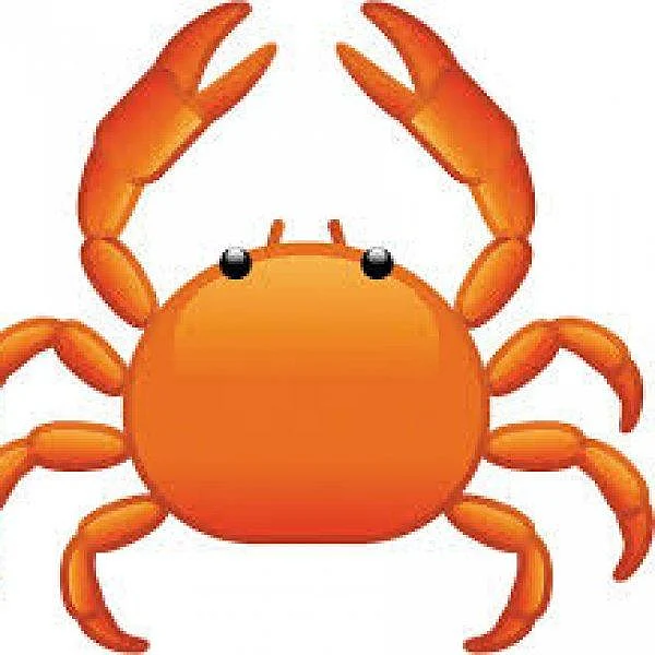கடகம் ராசிக்காரர் எந்த ராசிக்காரரை மணக்கலாம்? #Astrology