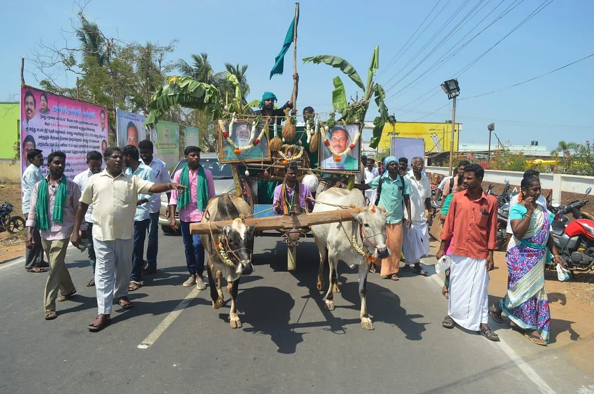 திருத்துறைப்பூண்டியில் களைகட்டிய 13-வது தேசிய நெல் திருவிழா