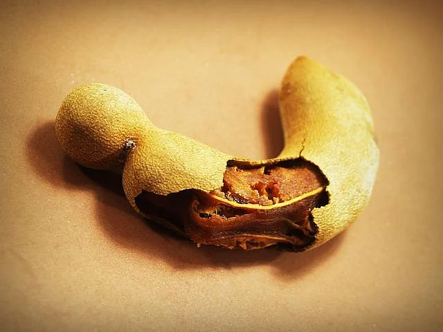 Spice Box Container – Tamarind – the Spiker!