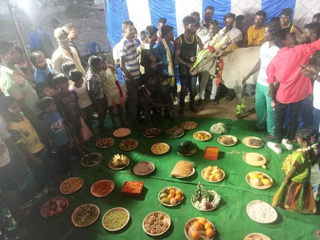 ‘பசுமாட்டுக்கு வளைகாப்பு!’ - கிராம மக்களை ஆச்சர்யப்படுத்திய இளைஞர்