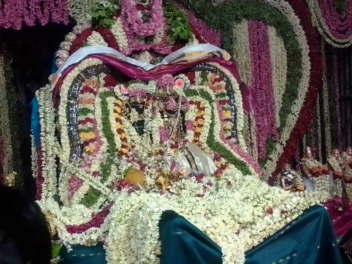 கோலாகலமாய் நடந்த திருஞானசம்பந்த சுவாமிகளின் திருக்கல்யாண பெருவிழா!