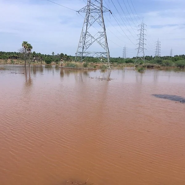 17 ஆண்டுகளாக வீணான நீர்... ஒரே மழையில் குட்டையை நிரம்பவைத்த கோவை மக்கள்!