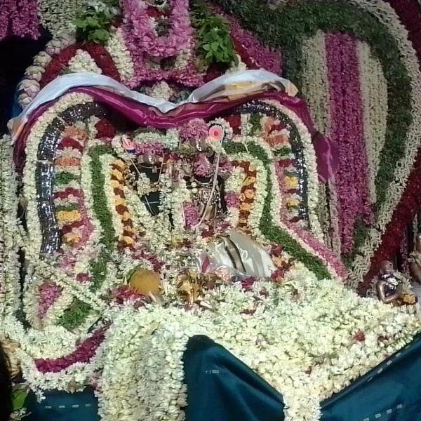 கோலாகலமாய் நடந்த திருஞானசம்பந்த சுவாமிகளின் திருக்கல்யாண பெருவிழா!