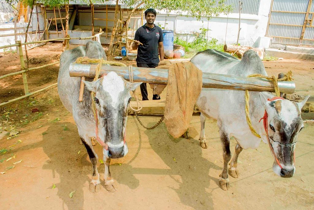 ஊறுகாய்கூட காசுதான்... பாரம்பர்யத்தை மீட்டெடுக்கும் தஞ்சை உணவகம்!