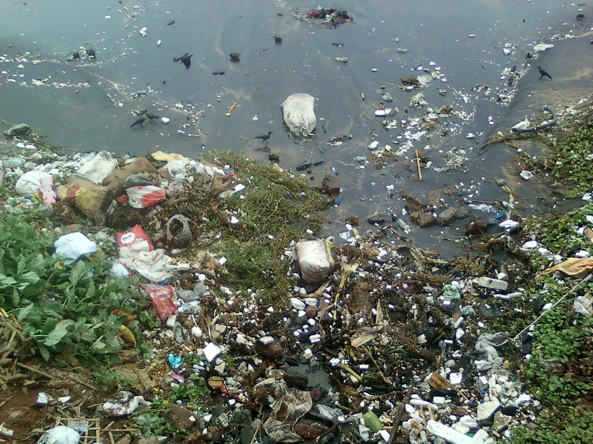 மாசு கலந்த நீர்... மூளை நோய்க்குக் காரணம்!#WhereIsMyWater