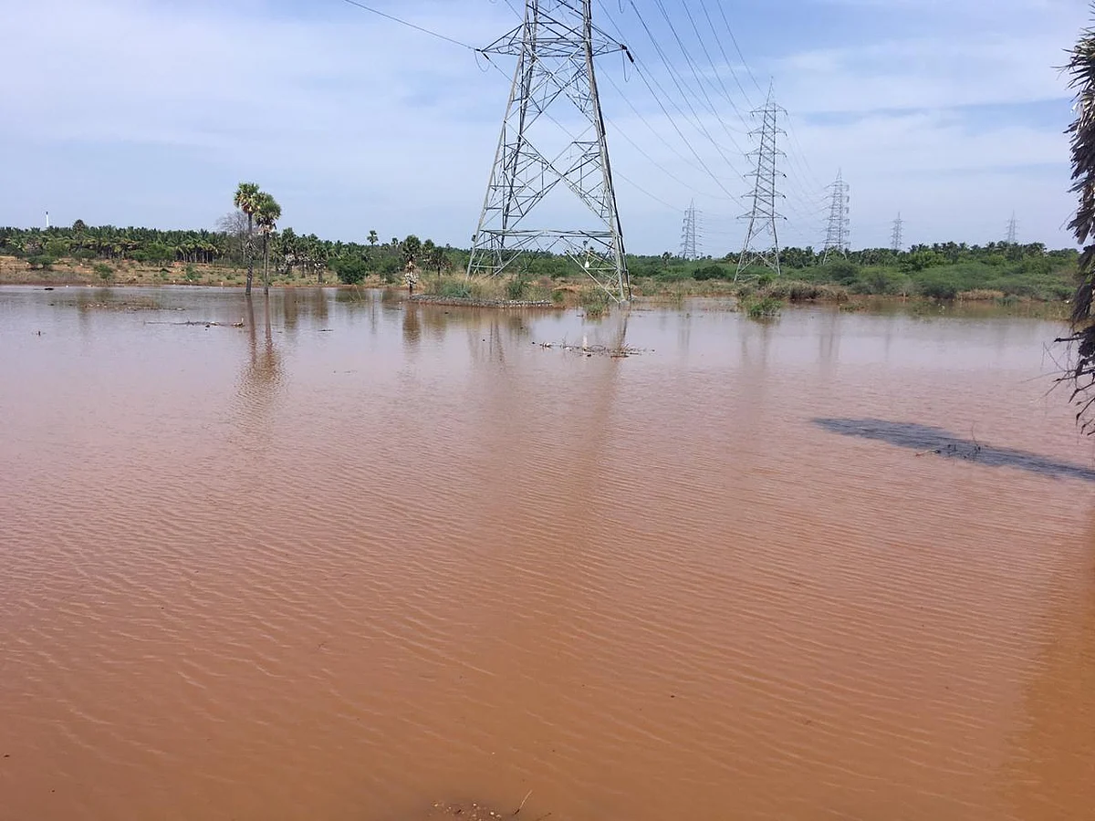 17 ஆண்டுகளாக வீணான நீர்... ஒரே மழையில் குட்டையை நிரம்பவைத்த கோவை மக்கள்!