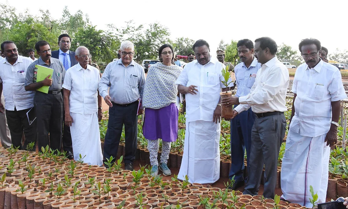 ``சசிகலாவுக்கும், தினகரனுக்கும் அ.தி.மு.க-வில் இடமில்லை!” - திண்டுக்கல் சீனிவாசன் உறுதி