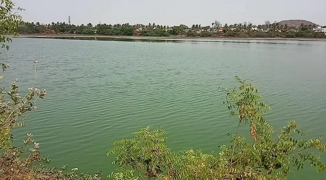 அரசை நம்பியது போதும்... களமிறங்கிய தன்னார்வலர்களும் பொதுமக்களும்! #WhereIsMyWater