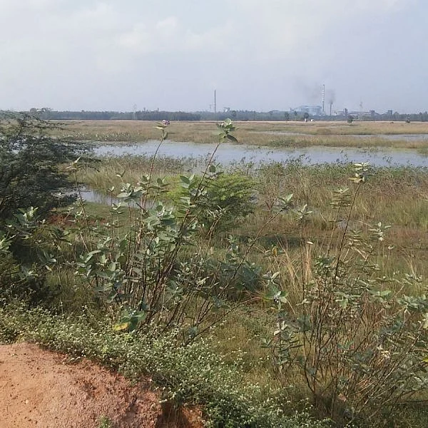 ``சென்னையில் மழை இல்லையென்றாலும் 5 வருடத்துக்கு பிரச்னை இல்லை!'' - எப்படித் தெரியுமா?