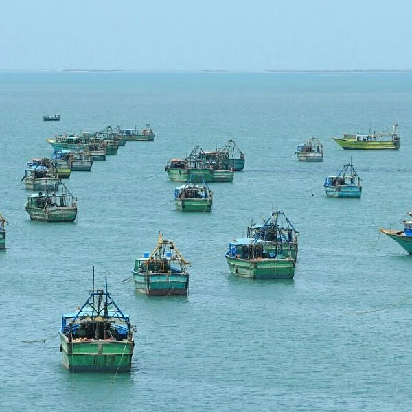 தடைக்காலம் முடியும் முன்பே கடலுக்குள் மீன்பிடிக்கச் சென்ற மீனவர்கள்!