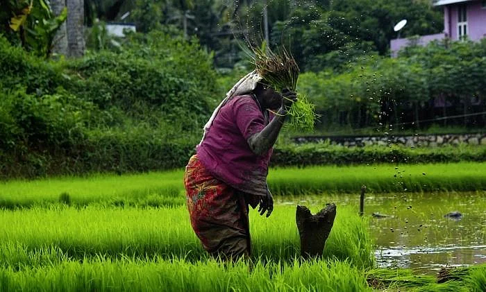 `அனைத்து விவசாயிகளுக்கும் 6,000 ரூபாய்...' பயனளிக்குமா மோடியின் புதிய திட்டம்?